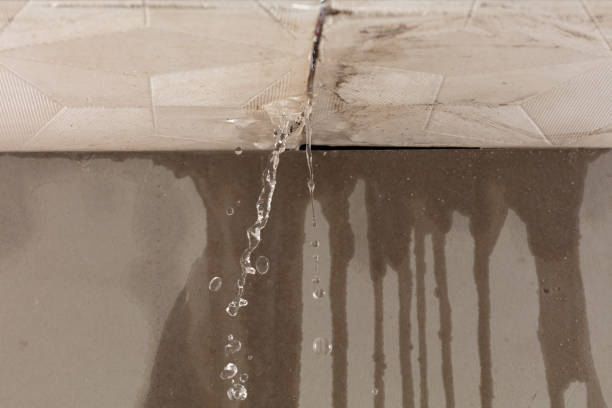 Professional Water Damage Repair technician working in Harwood, TX